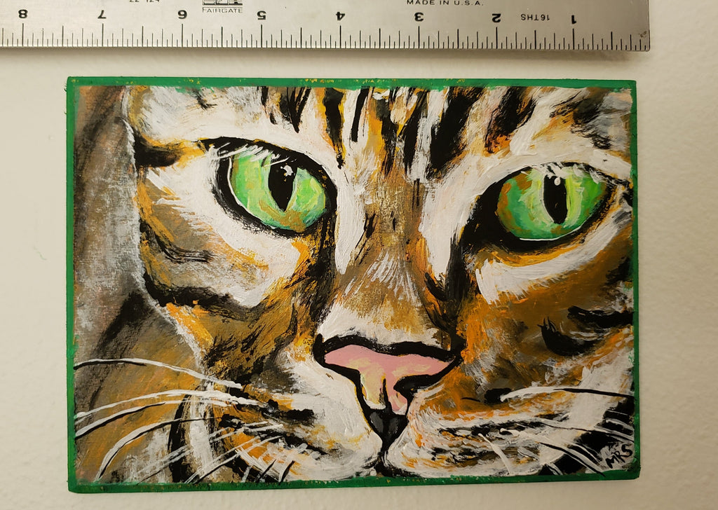 orange striped cat with green eyes
