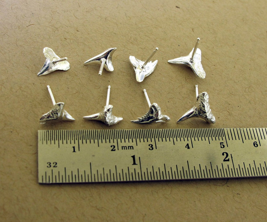 4 different types of shark teeth earrings