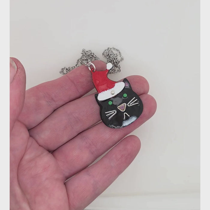 Christmas Cat video