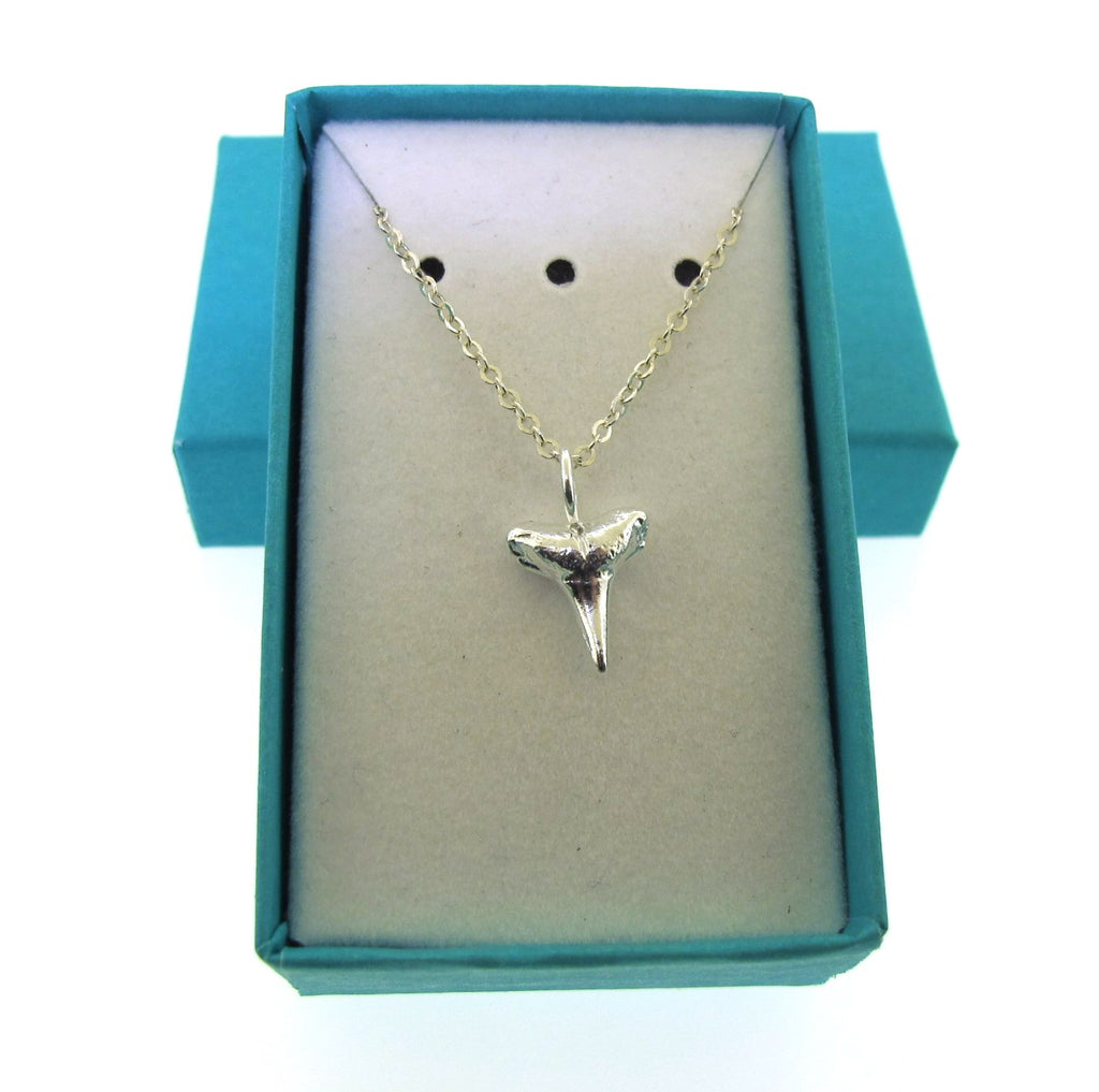 silver shark tooth necklace