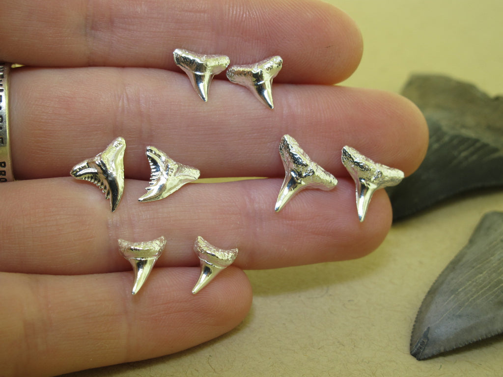 cast shark teeth earrings