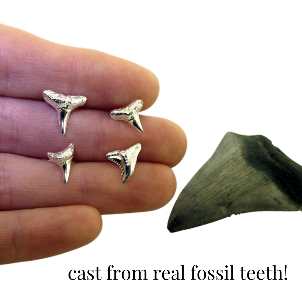 small shark teeth post earrings